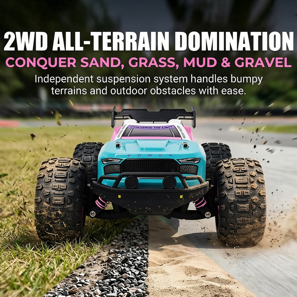 1:16 스케일의 2륜 구동(2WD) 오프로드 RC 트 - Rc Hobby Grade Truck 리뷰 및 가격