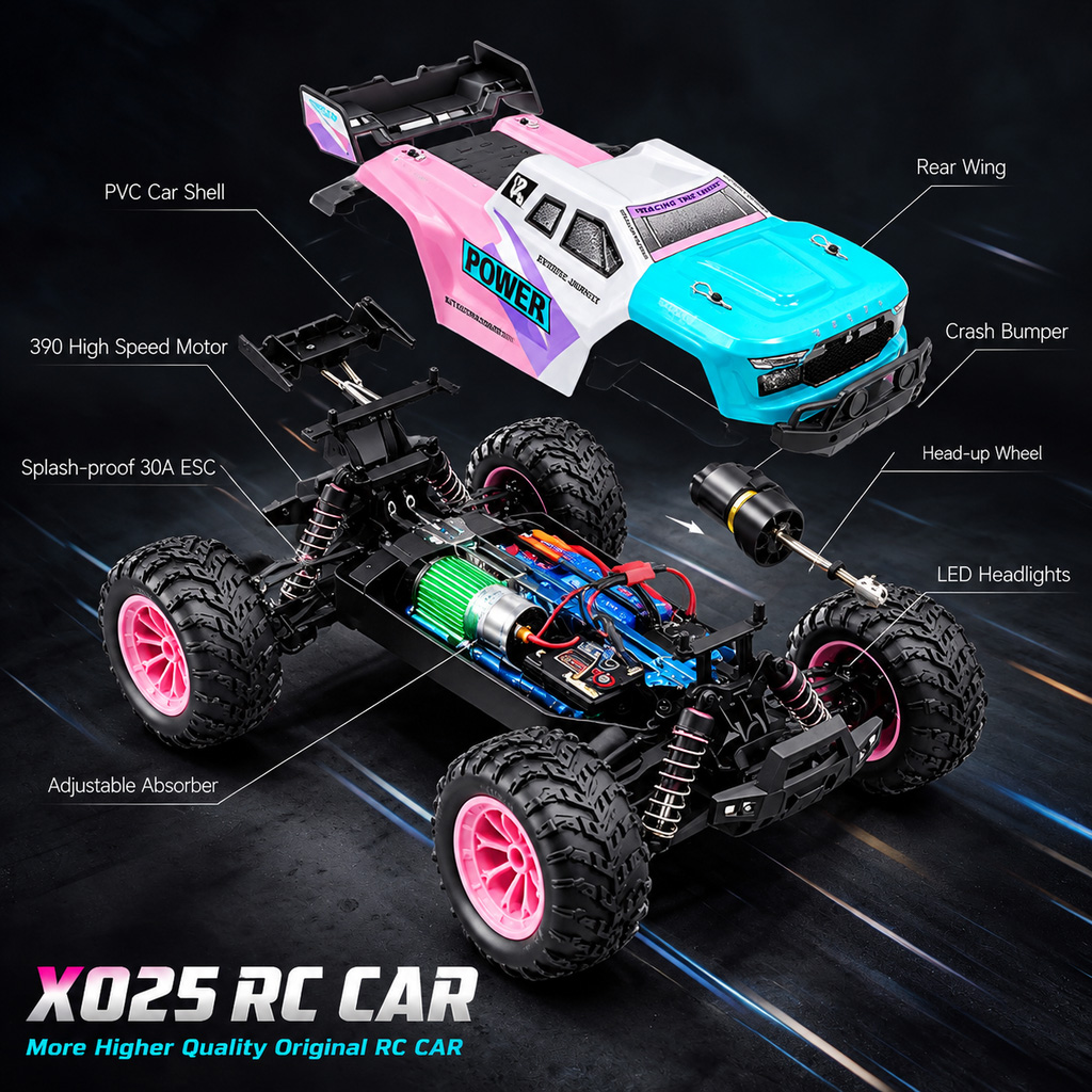1:16 스케일의 2륜 구동(2WD) 오프로드 RC 트 - Rc Hobby Grade Truck 리뷰 및 가격