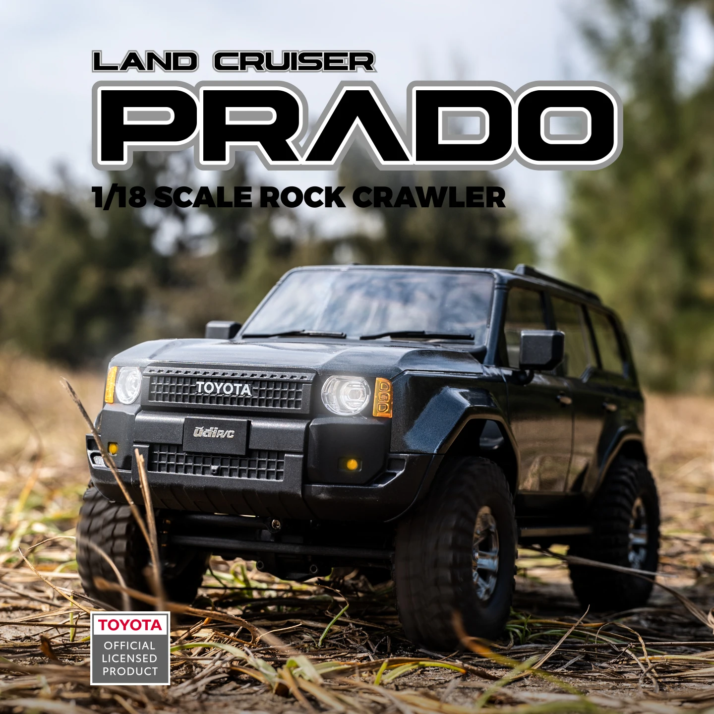 UDIRC 1/18, 1/24 스케일의 4륜 구동 오프 - Rc Hobby Grade Truck 리뷰 및 가격